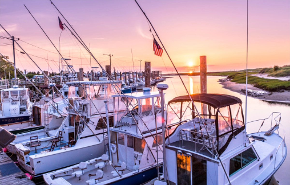 Orleans Real Estate